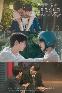 Peach Trap S01 (Complete) | Korean Series